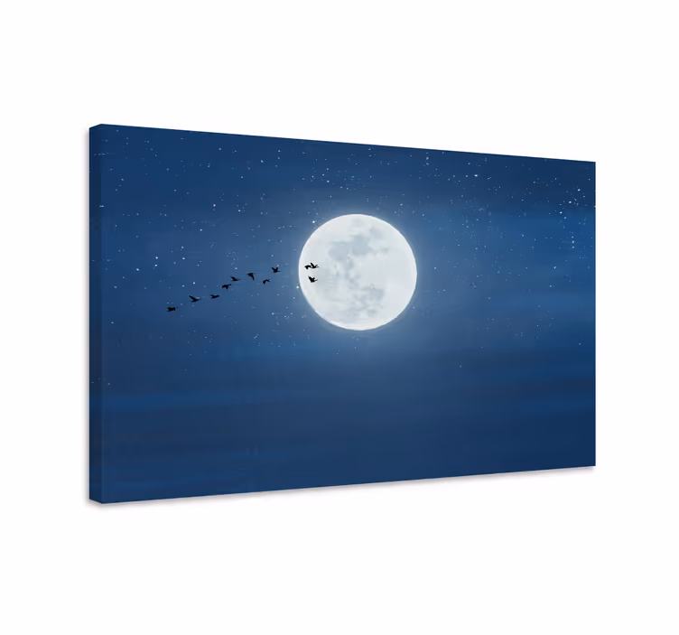 3d obrazy na plátně úplněk a obloha - TenStickers