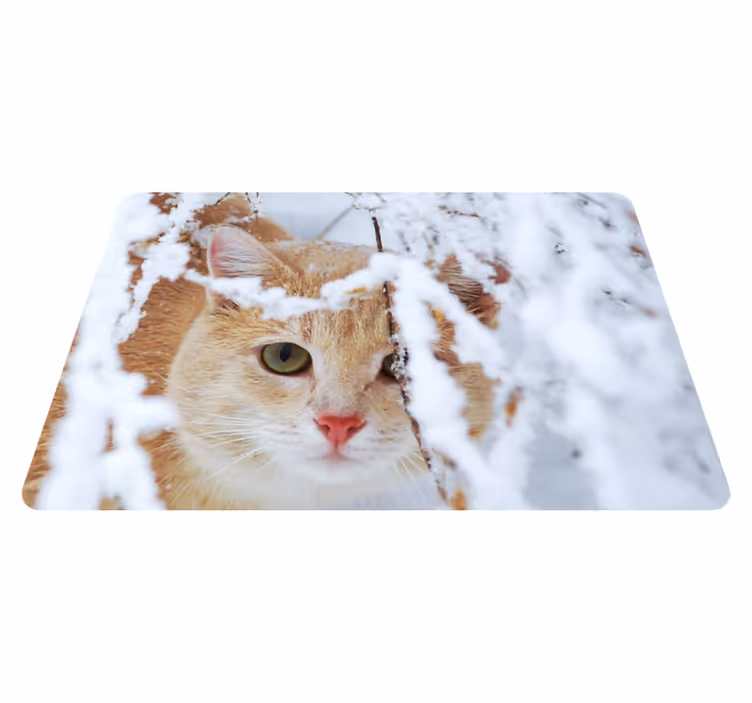 Zvířecí vinylový koberec kočka se stalaktitem - TenStickers