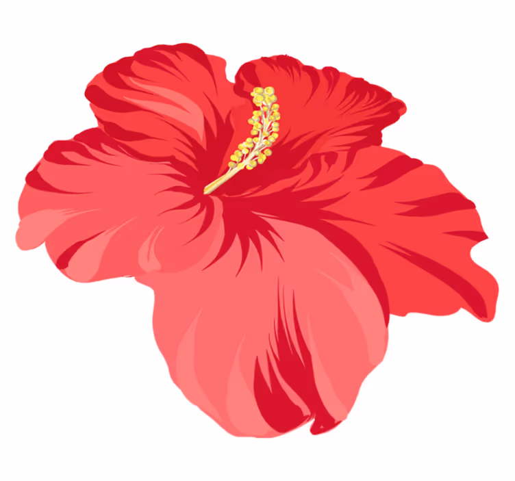 Vinylový koberec s květinami a rostlinami červený hibiscus - TenStickers