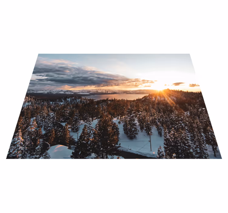 Přírodní vinylový koberec zelený lesní krajinný - TenStickers