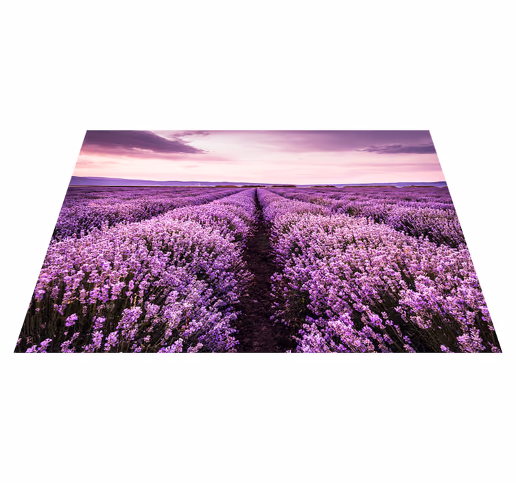 Purpurový vinylový koberec s levandulovými květy - TenStickers