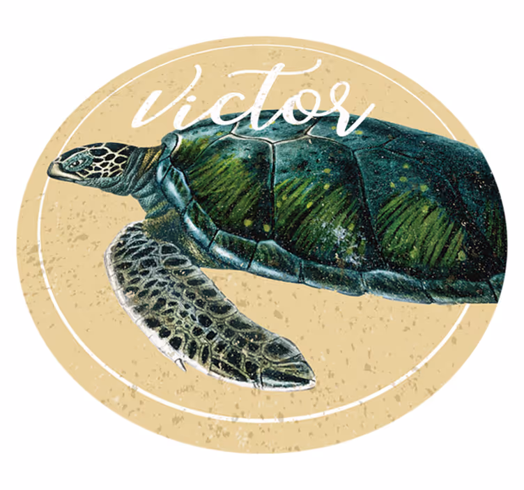 Mořská želva s názvem vinyl koberec s názvem - TenStickers