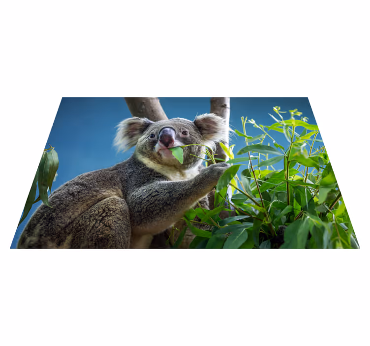 Zvíře roztomilý medvěd koala zvířecí koberec - TenStickers