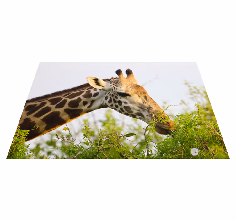 Zvířecí vysoký žirafí vinylový koberec - TenStickers