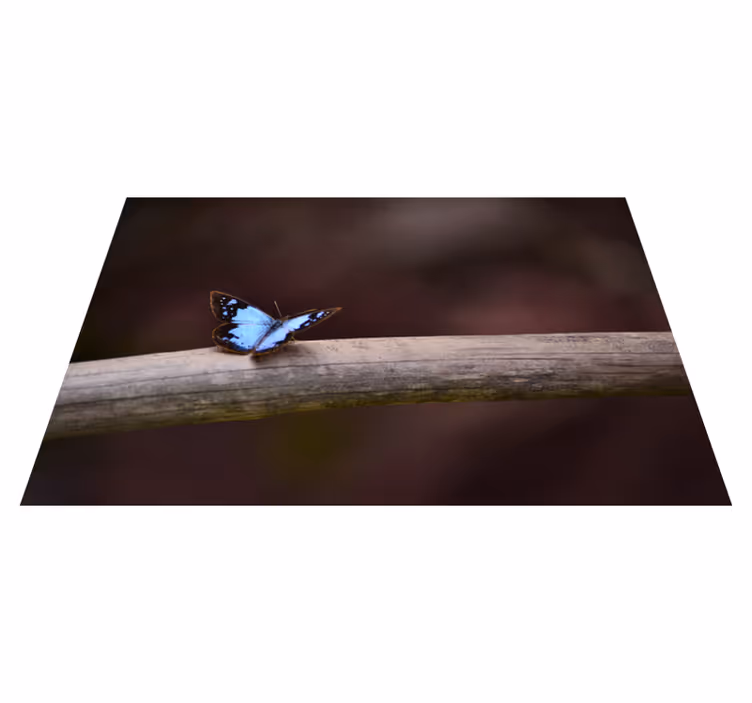 Motýl na větvi Přírodní vinylový koberec - TenStickers