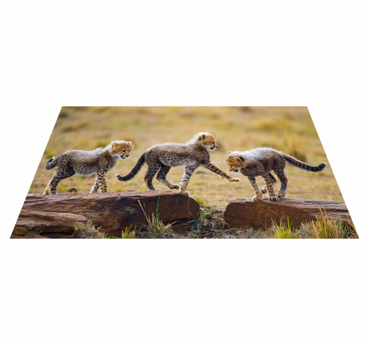 Zvíře roztomilý gepard mláďata zvířecí koberec - TenStickers