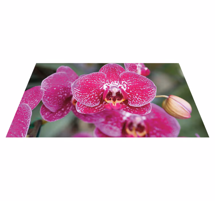 Fialová orchidej detailní květinový koberec - TenStickers
