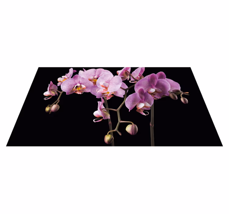 Orchidej černé pozadí květinový koberec - TenStickers