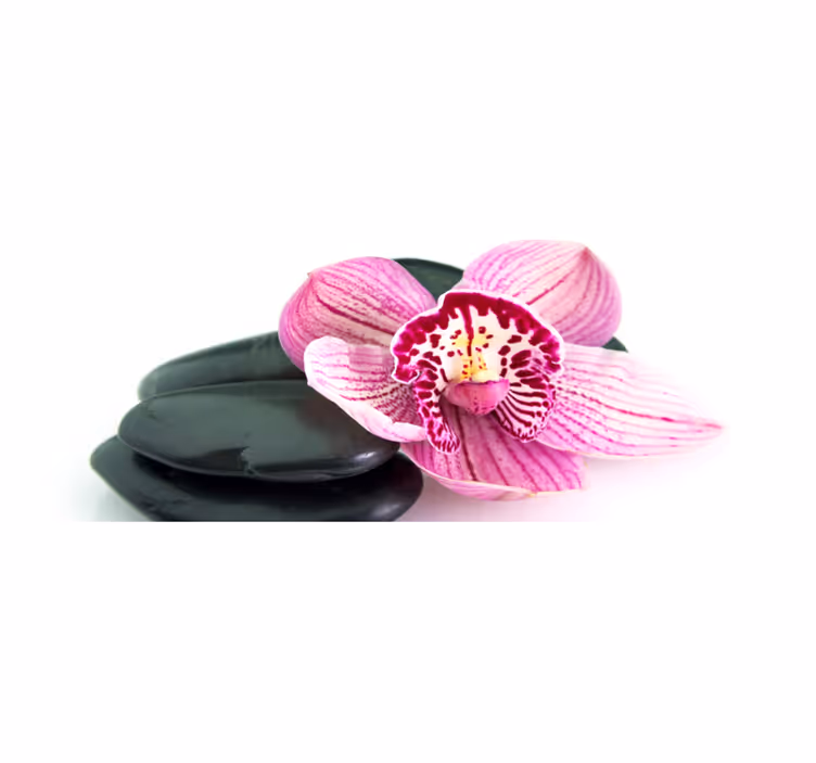 Růžové orchideje zblízka květinový koberec - TenStickers