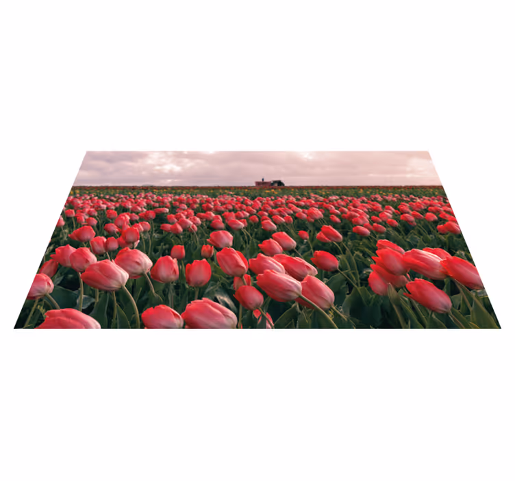 Zářivé tulipánové pole Přírodní vinylový koberec - TenStickers