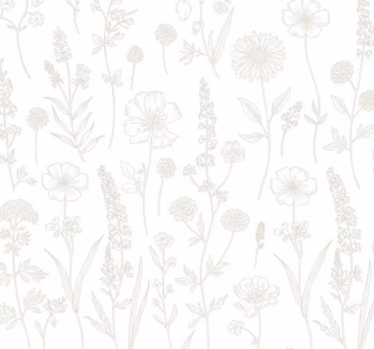 Tapeta do obývacího pokoje botanická skica stezky - TenStickers