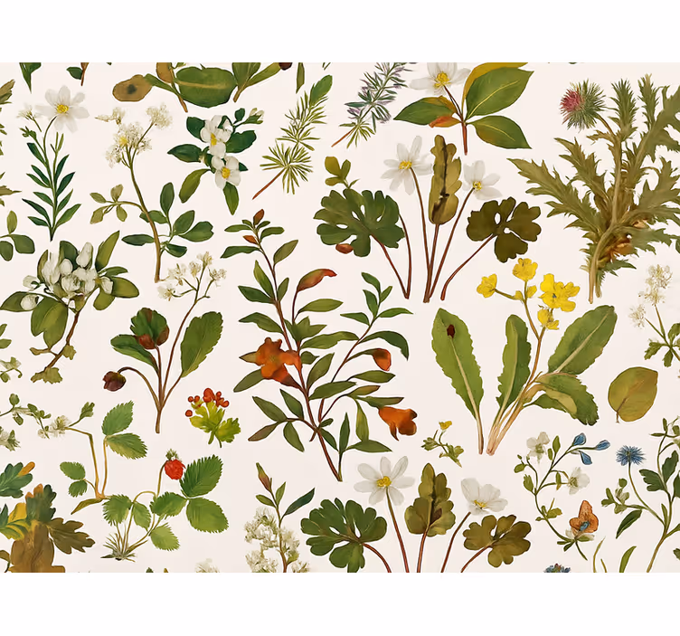 Tapeta do ložnice s botanickým designem na bílém pozadí - TenStickers