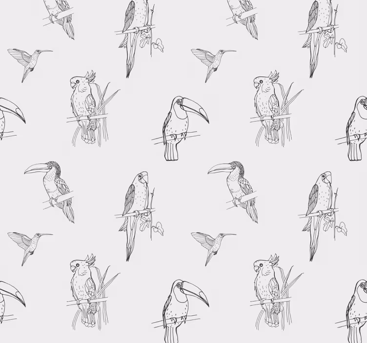 Skica tropických ptáků Papoušek tapeta - TenStickers