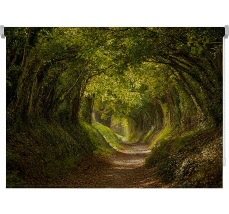 Roleta stromy zelená cesta - TenStickers