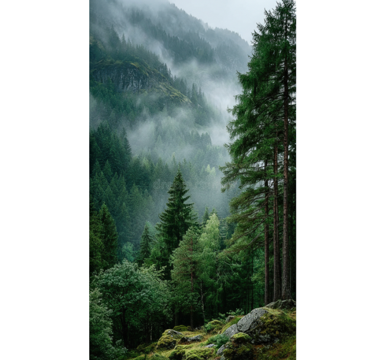 Roleta stromy vybírejte podle nálady - TenStickers