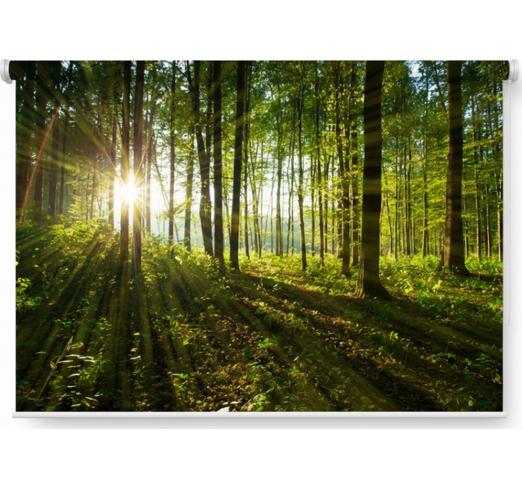 Roleta stromy zlaté sluneční lesy - TenStickers