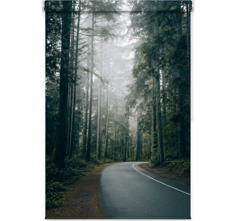 Roleta stromy na mlžné borové cestě - TenStickers