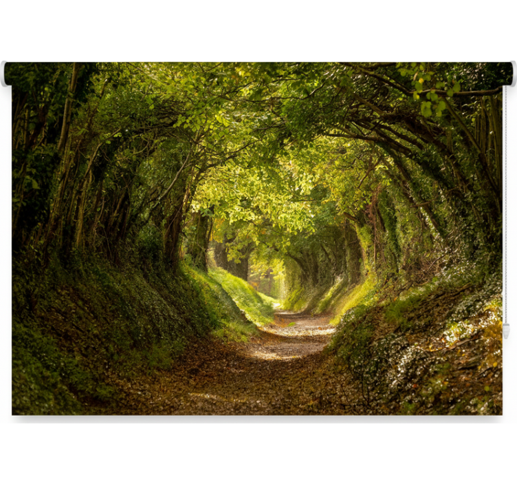 Roleta stromy vstup do lesního muralu - TenStickers