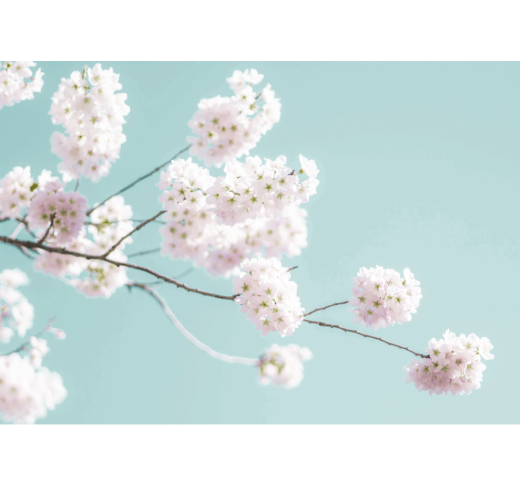 Roleta kuchyně elegantní bílý květinový design - TenStickers