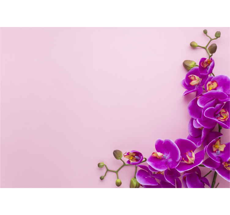 Roleta kuchyně růžové pozadí s orchidejí - TenStickers