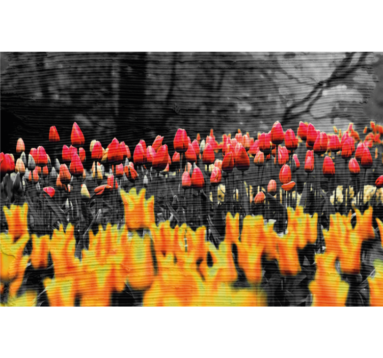 Roleta do obývacího pokoje různé květinové louky - TenStickers