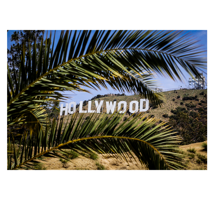 Roleta do obývacího pokoje hollywoodský nápis a strom - TenStickers