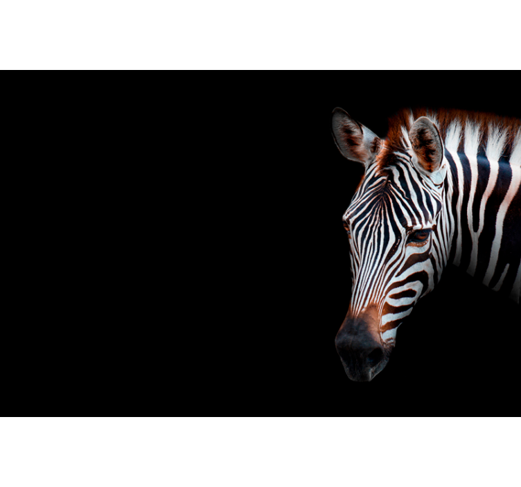 Roleta do obývacího pokoje zebra motiv - TenStickers