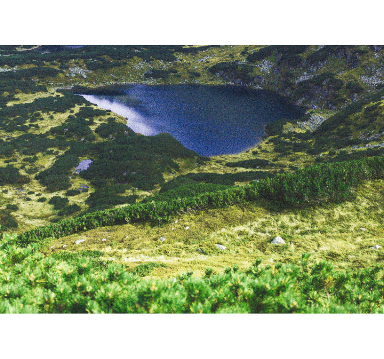 Roleta do obývacího pokoje zelené polské tatry - TenStickers