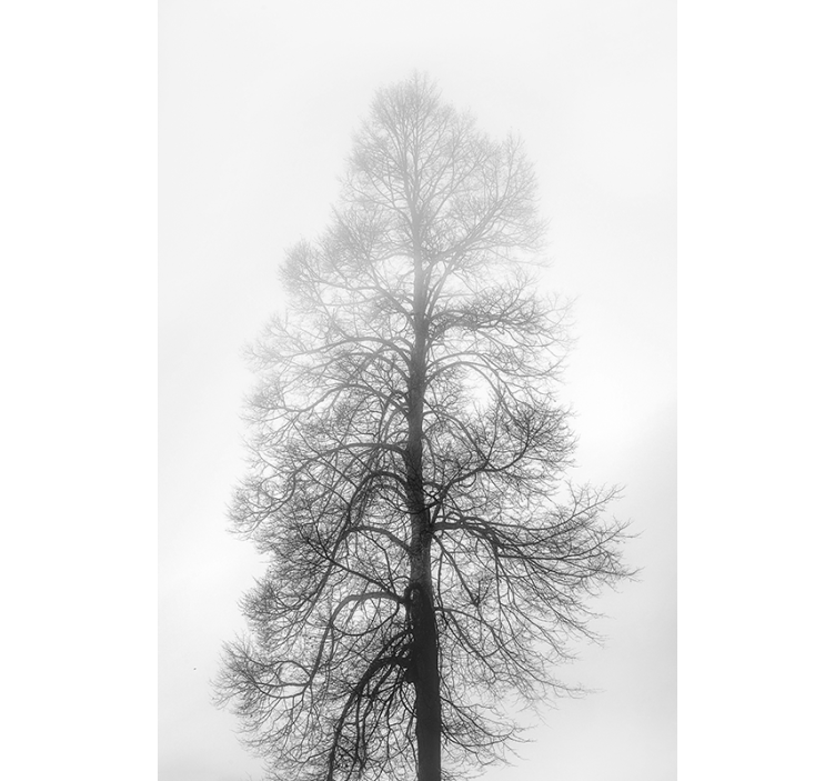 šedá okenní roleta - TenStickers