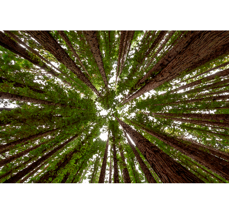 Vysoký design kabiny Roleta stromy - TenStickers