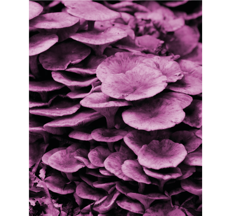 živé květinové vrstvy Roleta Květiny a rostliny - TenStickers