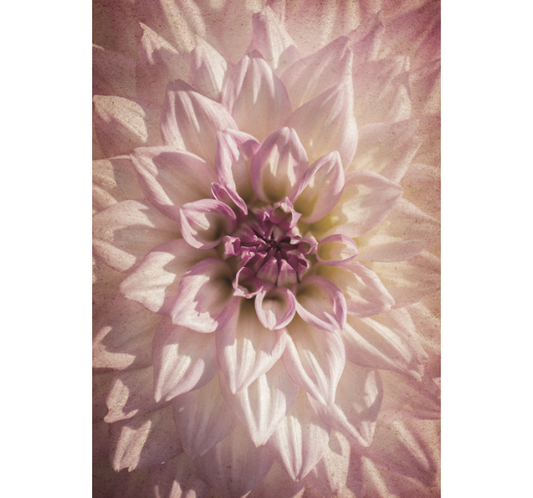 Jemný květ Roleta Květiny a rostliny - TenStickers