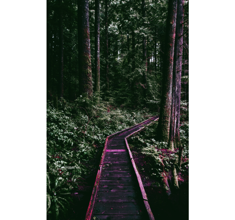 Zelený les dřevěná cesta obývací pokojroleta - TenStickers