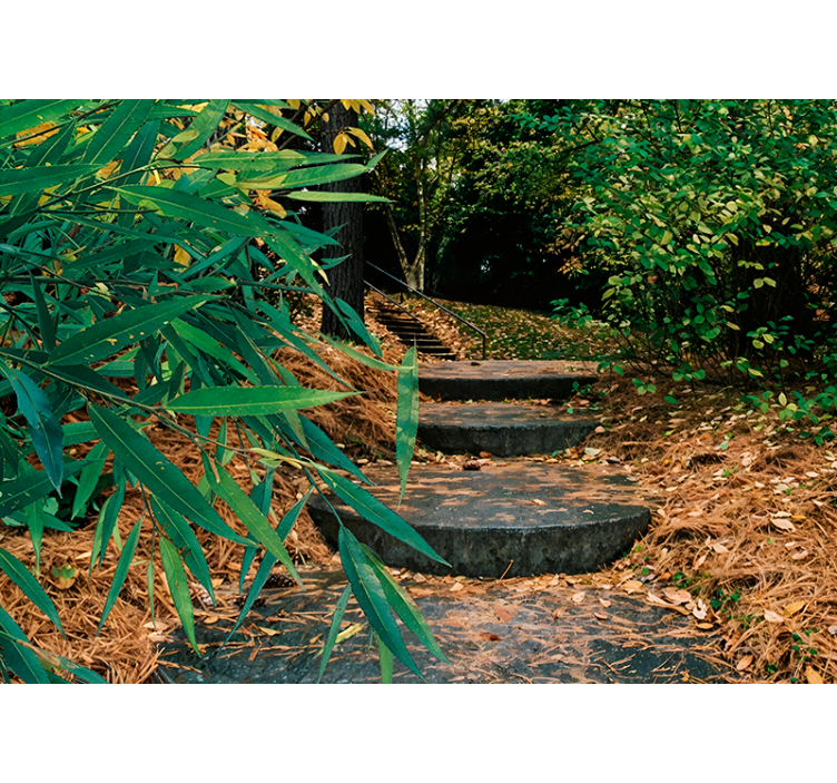 3d lesní a malé silnice původní roleta - TenStickers