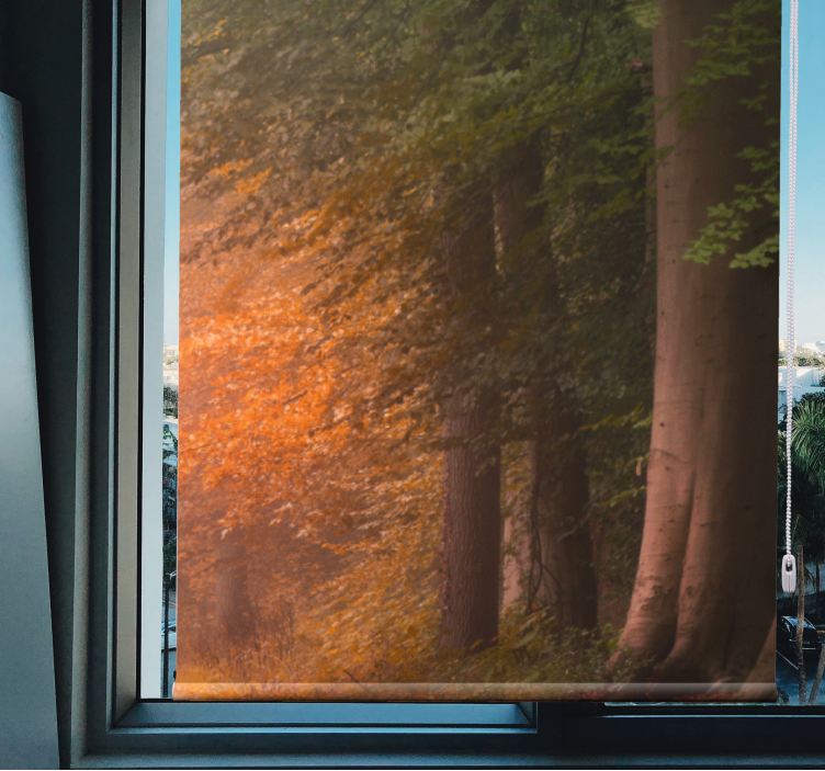 Hluboký fantastický les originální roleta - TenStickers