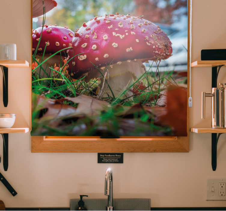 Zářivé červené houby Roleta Květiny a rostliny - TenStickers