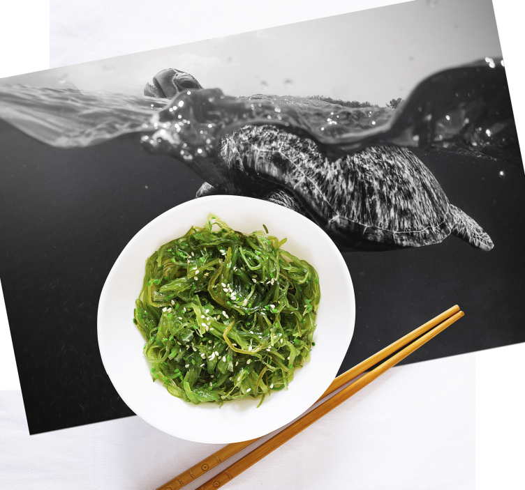 černobílá želva plavání černé prostírání - TenStickers