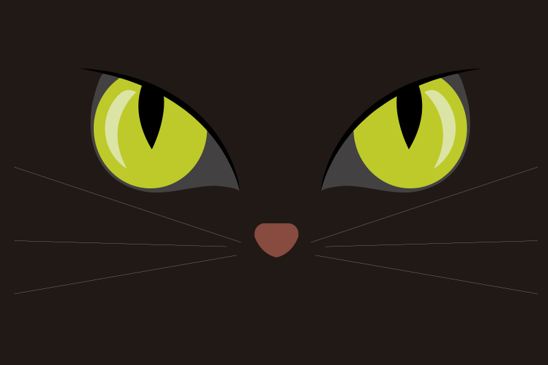 Děsivé černé prostírání s halloweenskou kočkou - TenStickers