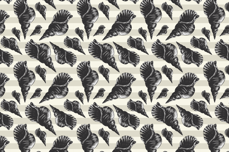 Ruční kreslení mušle ročník prostírání - TenStickers