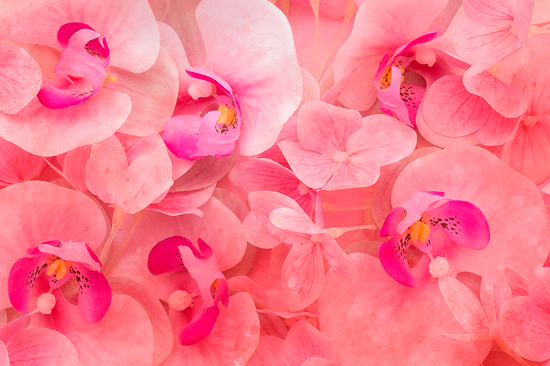 Růžové květy se žlutým prostředním prostíráním - TenStickers