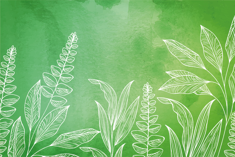 Originální zelená barva s listovými prostíráními - TenStickers