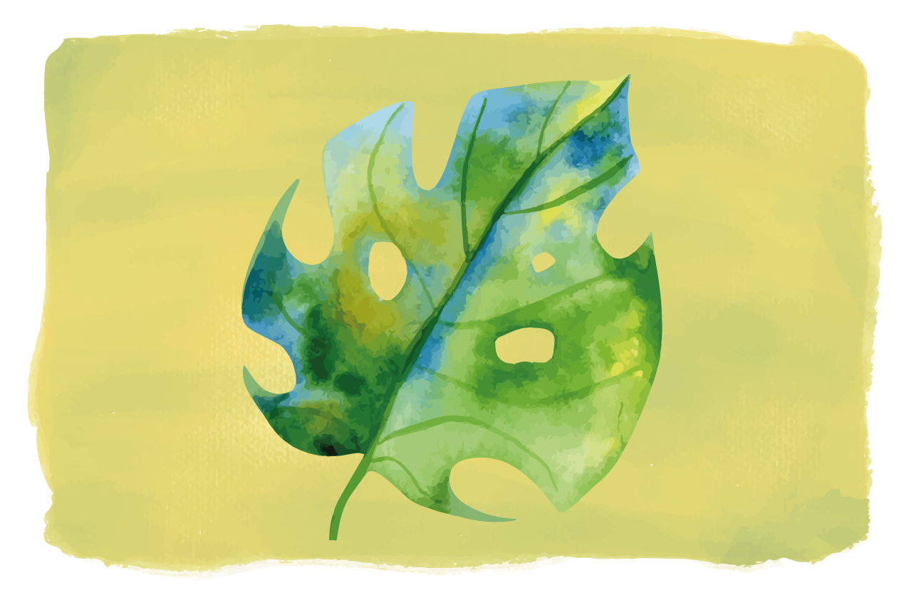 Originální prostírání s designem listu monstera - TenStickers