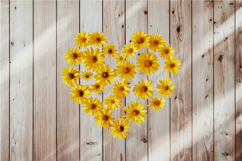 Srdce sedmikráska na texturu dřeva elegantní prostírání - TenStickers