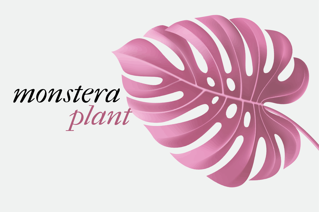 Růžová minimalistická monstera nabídky prostírání - TenStickers