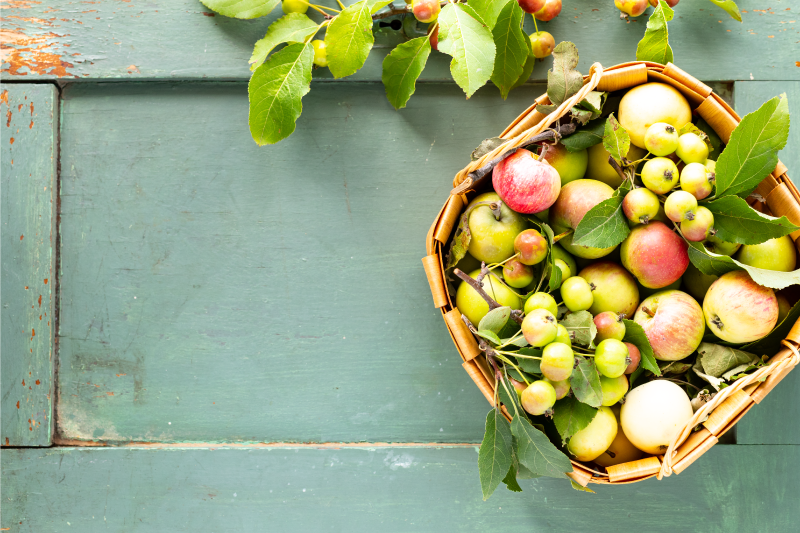 Prostírání home ovocná mísa aranžmá - TenStickers