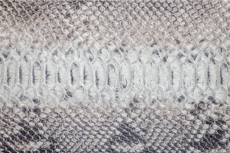 Elegantní hadí vzor elegantní prostírání - TenStickers