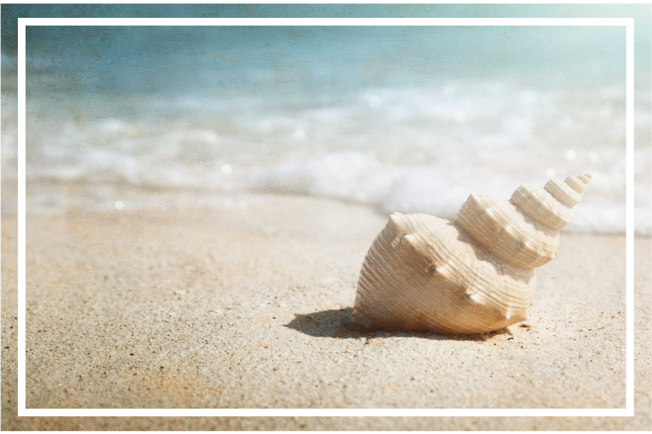 Elegantní skořepinový displej originální prostírání - TenStickers