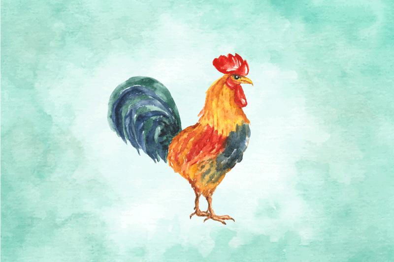 Originální prostírání s barevným kohoutem - TenStickers