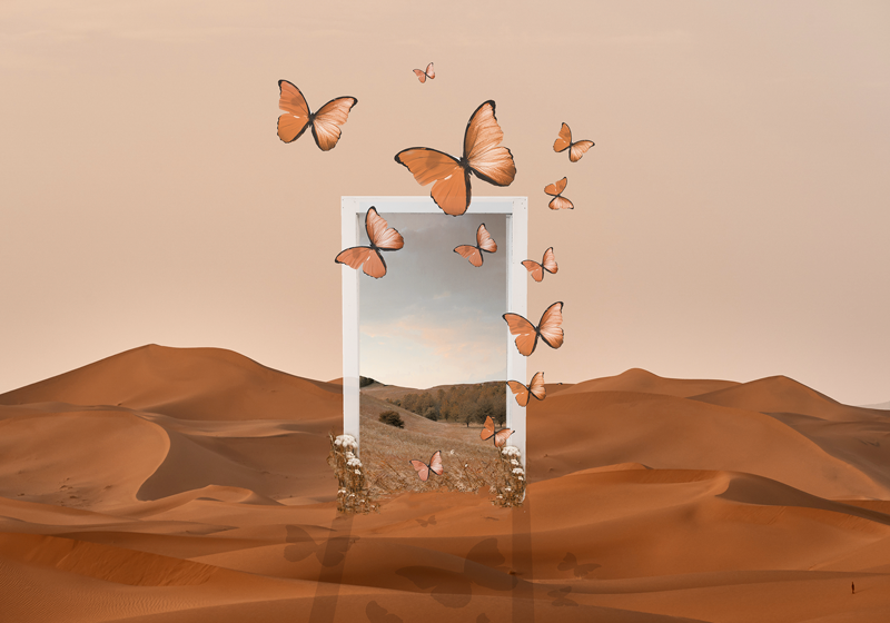 Originální prostírání s motýlími rámy - TenStickers