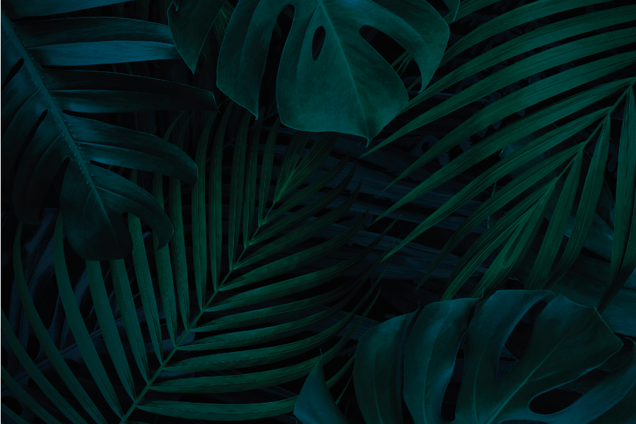 Prostírání s texturami tropické listy - TenStickers